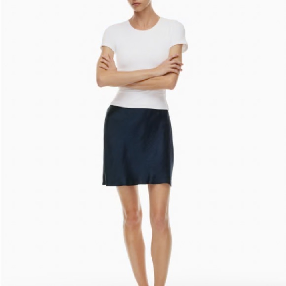Aritzia Slip Satin Mini Skirt